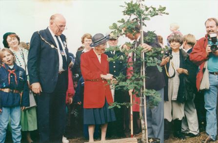 Dronning Ingrid deltager ved plantningen af en eg.